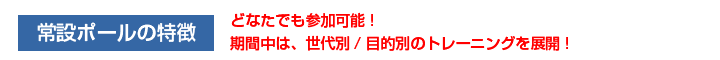 常設ポールの特徴